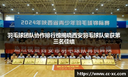 羽毛球团队协作排行榜揭晓西安羽毛球队荣获第三名佳绩