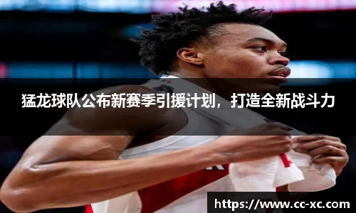 猛龙球队公布新赛季引援计划，打造全新战斗力