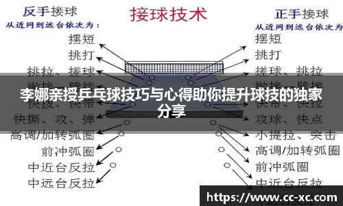 李娜亲授乒乓球技巧与心得助你提升球技的独家分享