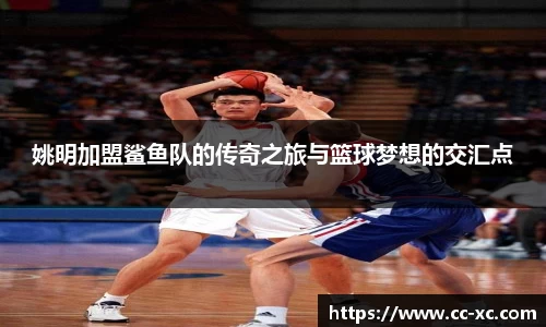 姚明加盟鲨鱼队的传奇之旅与篮球梦想的交汇点