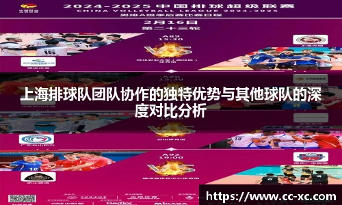 上海排球队团队协作的独特优势与其他球队的深度对比分析