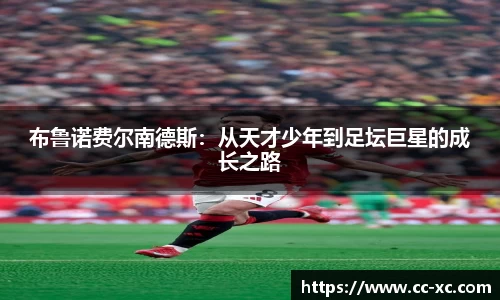 球王会网站
