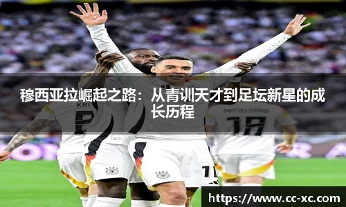 球王会体育